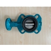 Buhar Vanas (DN: 65  \ PS: 16 BAR)