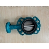 Buhar Vanas (DN: 80  \ PS: 10 BAR)
